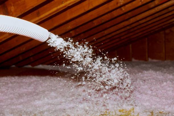 Best Professional Insulation Contractor  in Bangs, TX