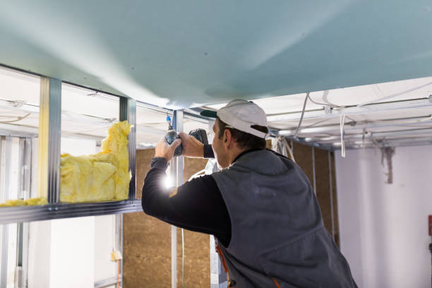 Best Garage Insulation Installation  in Bangs, TX